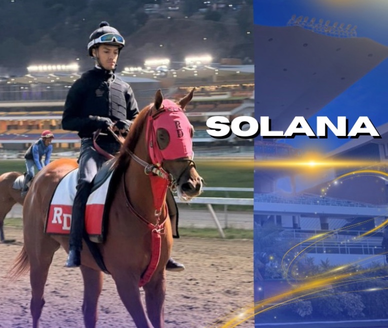 Stud "Milano" en la Escena Clásica: Solana (3) por la gloria en el "Asamblea Nacional" (GII) 🏇✨