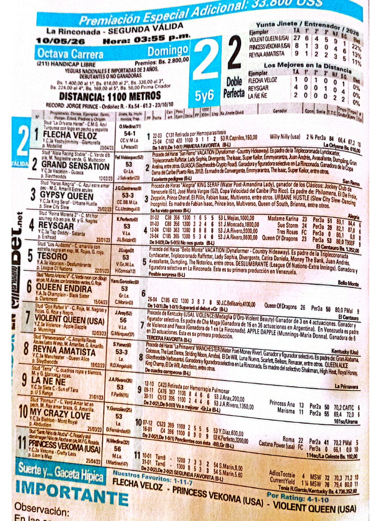 Colores del Haras Alegría: Gypsy Queen (3) lista para destacar en la Segunda Válida 🏇✨
