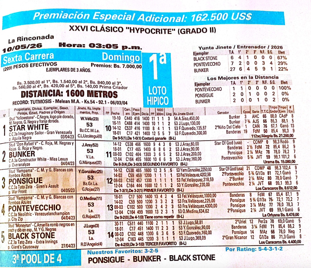Stud Yellowstone en la Elite: Star White (1) busca la gloria en el Clásico Hypocrite (GII) 🌹🏇