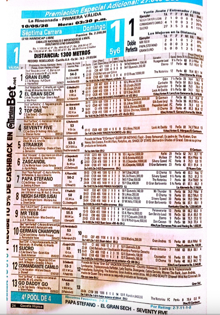 Colores del Stud Big Valdi: Neigh Sayer (8) listo para la Primera Válida del 5y6 🏇💎